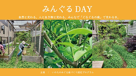 6月28日みんぐるDAY